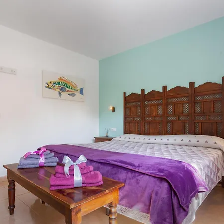 Oasis Bahia Fronte Piscine コラレホ